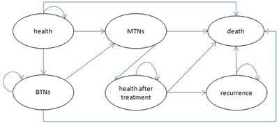 Cost-Effectiveness Analysis of Ultrasound Screening for Thyroid Cancer in Asymptomatic Adults